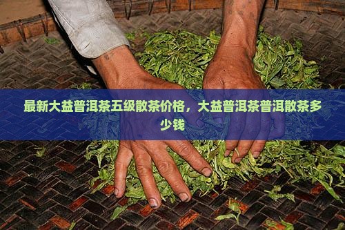 大益普洱茶五级散茶多少钱 大益普洱茶五级散茶多少钱