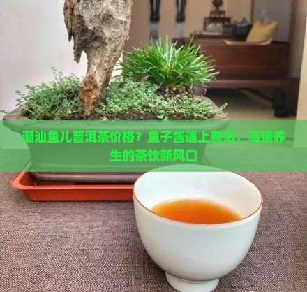 潮汕鱼儿普洱茶价格