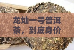 龙灿一号普洱茶多少钱
