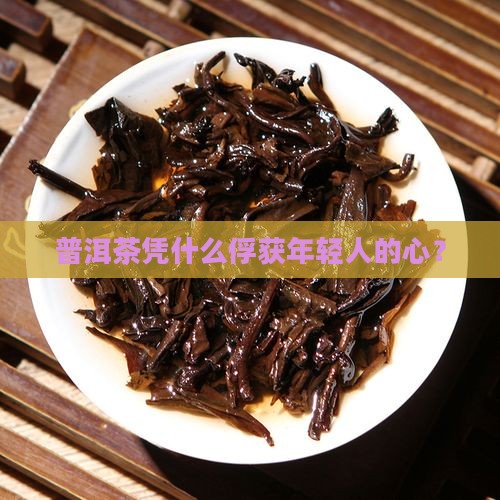 普洱茶怎么吸引年轻人