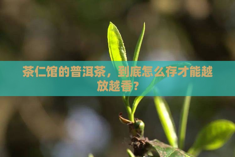 茶仁馆普洱茶如何保存好