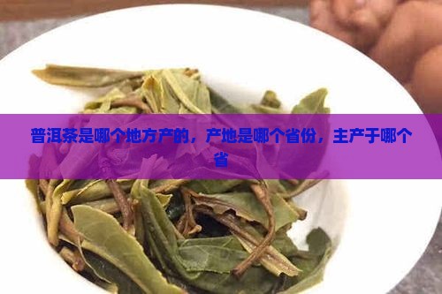 普洱茶是哪个地方产