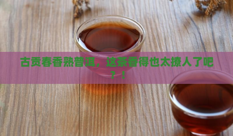 古贡春香普洱茶熟茶
