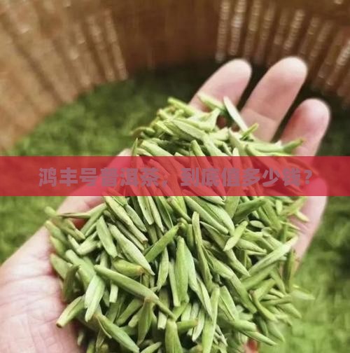 鸿丰号普洱茶价格如何