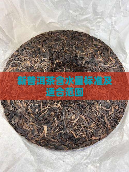 新普洱茶含水量