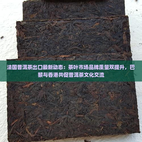法国普洱茶出口
