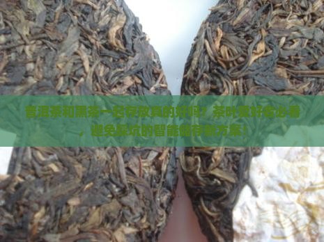 普洱茶和黑茶一起存放