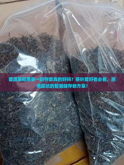 普洱茶和黑茶一起存放