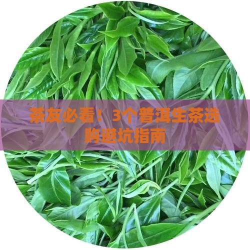 普洱生茶购买藏价值