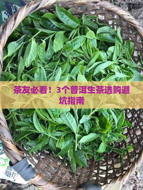 普洱生茶购买藏价值