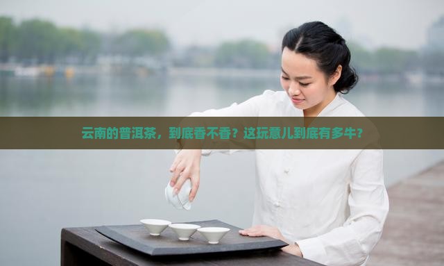 云南的普洱茶如何