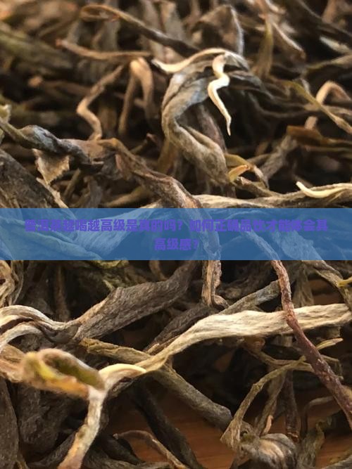 普洱茶越喝越高级
