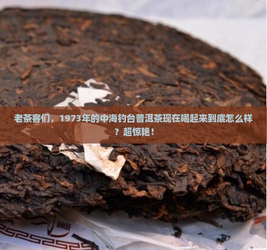 中海钓台普洱茶1973