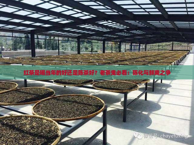 红茶是喝当年的好还是陈茶好