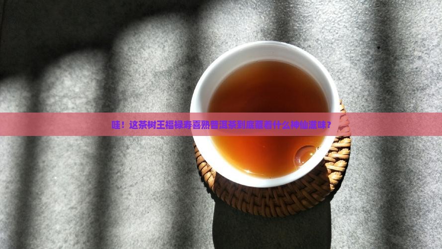 茶树王福禄寿喜熟普洱茶