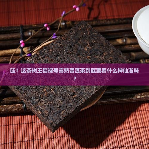 茶树王福禄寿喜熟普洱茶
