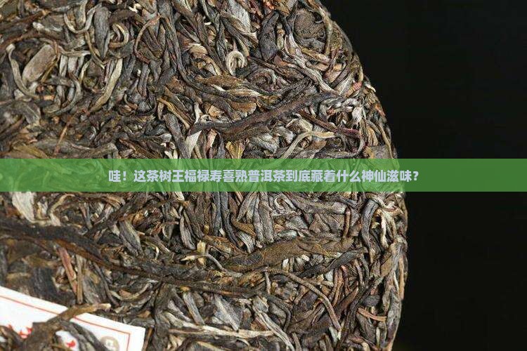 茶树王福禄寿喜熟普洱茶