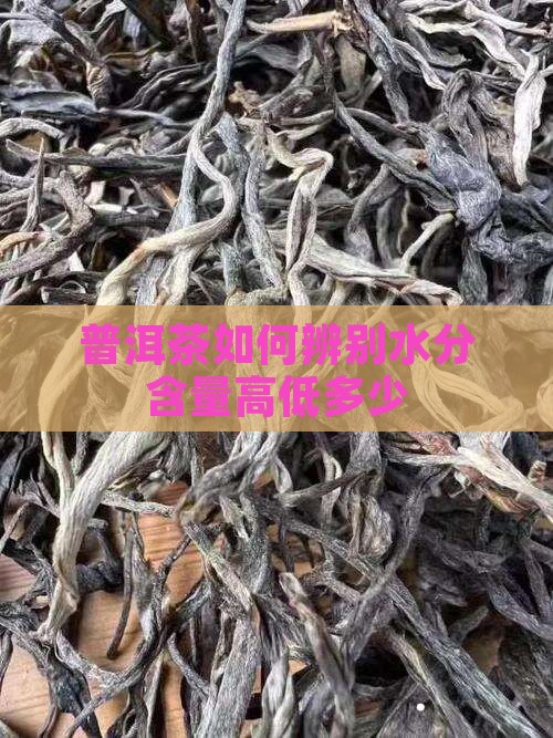 普洱茶如何辨别水分含量