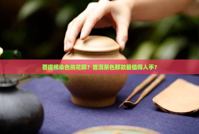 普洱茶染色菩提根推荐哪款