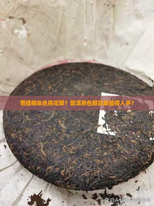 普洱茶染色菩提根推荐哪款