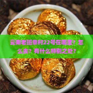 云南老班章村22号