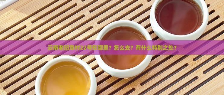 云南老班章村22号