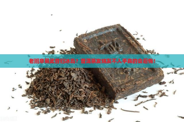 老班章易武昔归冰岛