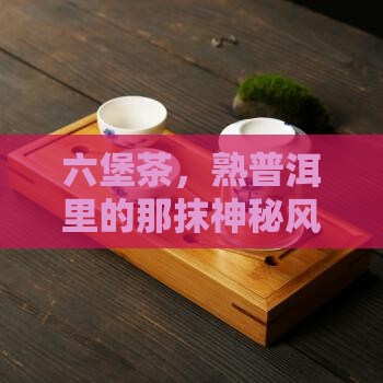 熟普洱茶的六堡茶