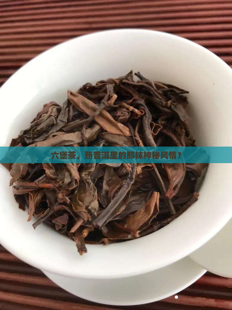 熟普洱茶的六堡茶