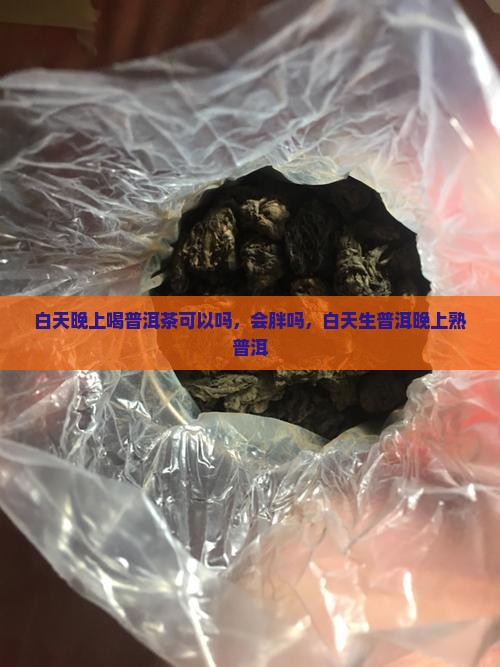 白天晚上喝普洱茶