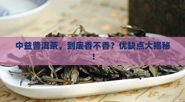 中益普洱茶的优缺点