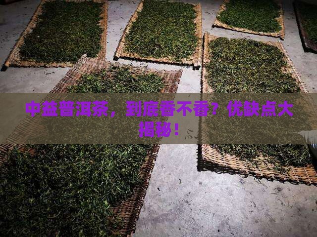中益普洱茶的优缺点