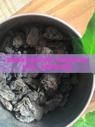 禹城古树普洱茶价格表