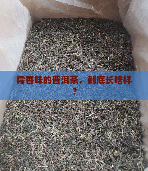 普洱茶哪个是糯香