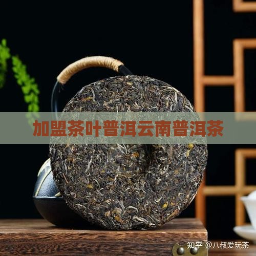 靠谱的普洱茶代理加盟