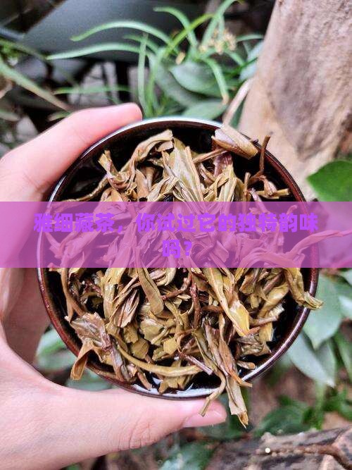 雅细藏茶好不好