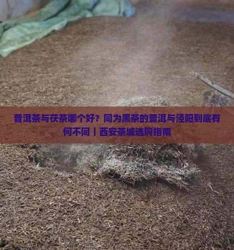 茯茶与普洱茶哪个好