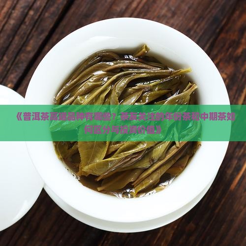 普洱茶高端品种