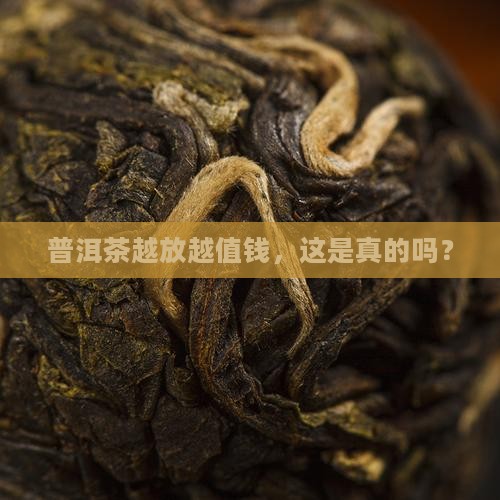 普洱茶年份越久越贵是吗