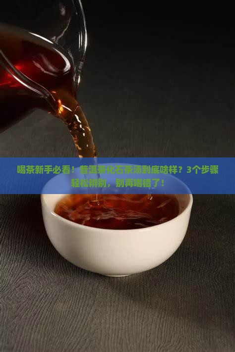 普洱茶化石茶汤是什么