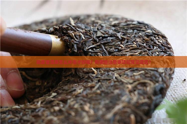 怎么喝陈皮普洱茶