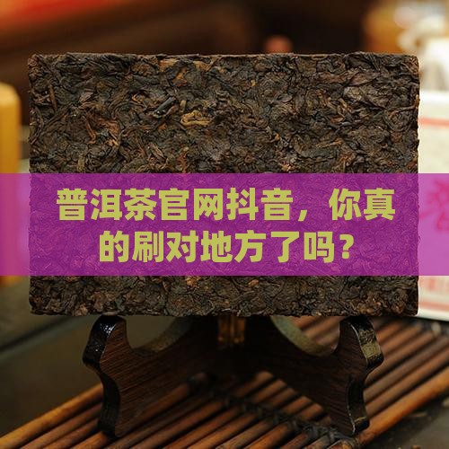 普洱茶官网抖音