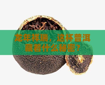大益龙年生肖纪念茶普洱茶