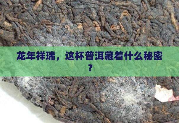 大益龙年生肖纪念茶普洱茶