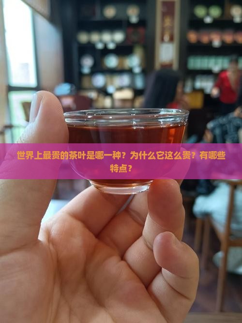 世界上最贵茶叶是哪一种