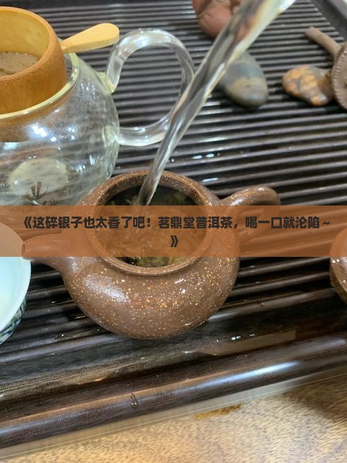 茗鼎堂碎银子普洱