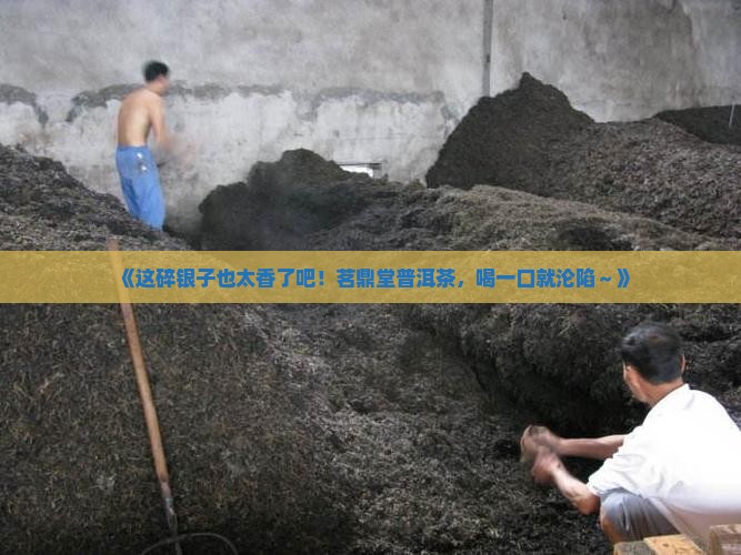 茗鼎堂碎银子普洱