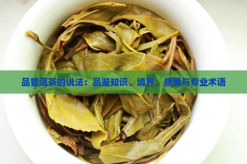 品普洱茶的说法