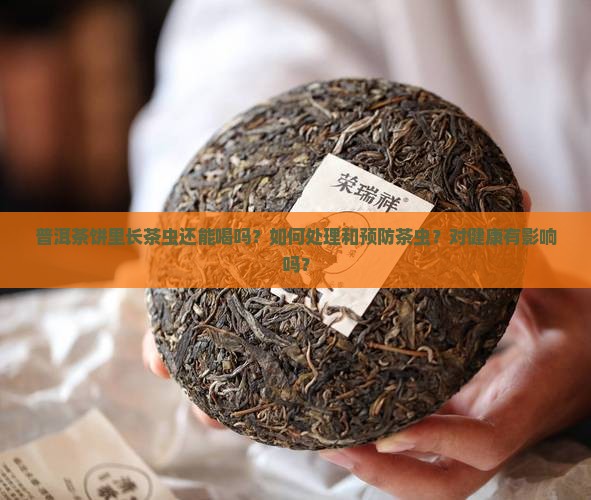 普洱茶饼里长茶虫还能喝吗