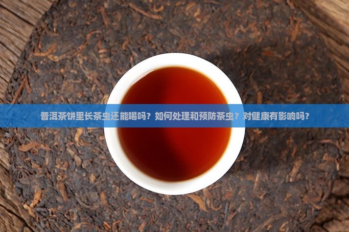 普洱茶饼里长茶虫还能喝吗
